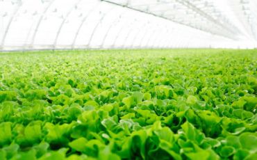 農業(yè)部等三部門：開展植保無人飛機應用試點工作